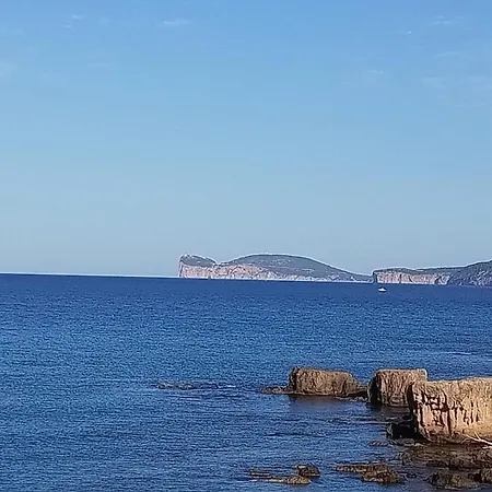 Cristta 3*